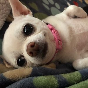 Meet your Posher, Aleah